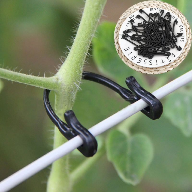 Gardening Tools For Vines - 50 pçs prendedor de videiras clipes