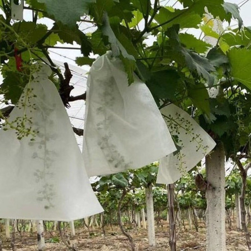 Grow Bags - 100 Sacos de Proteção para Frutas