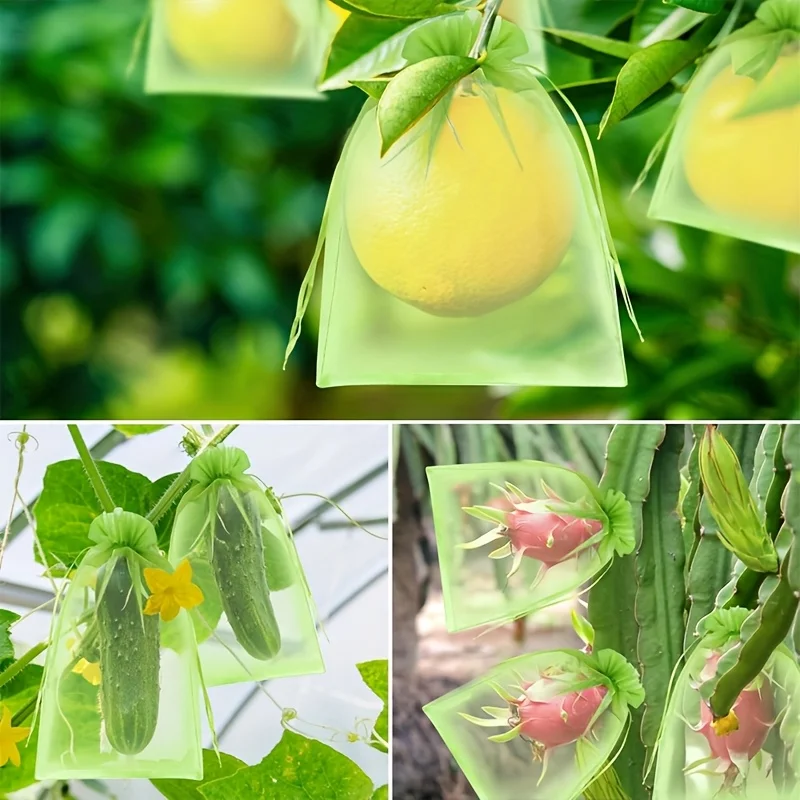 100 Peças de Saco Protetor Ver - Grow Bags avaliação e preço