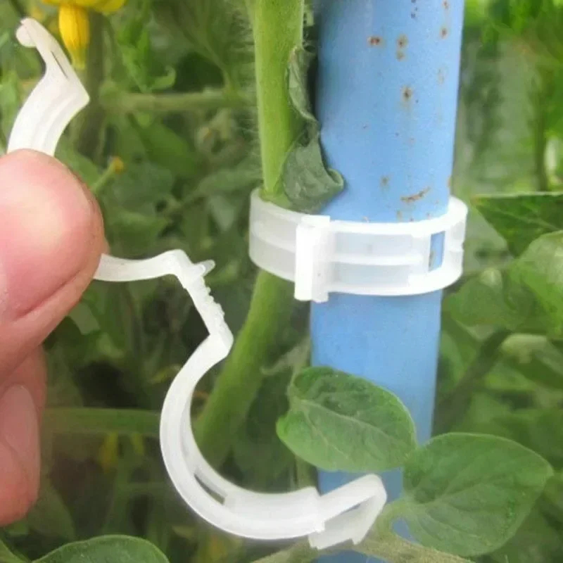 50-300 Peças de Clipes de Supo - Gardening Tools For Vines avaliação e preço