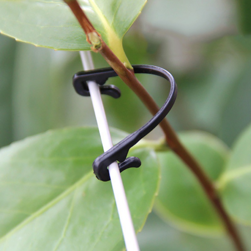 50 pçs prendedor de videiras c - Gardening Tools For Vines avaliação e preço