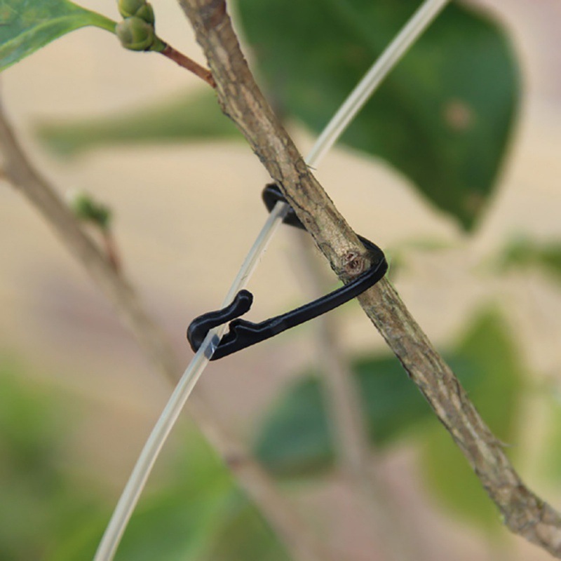 50 pçs prendedor de videiras c - Gardening Tools For Vines avaliação e preço