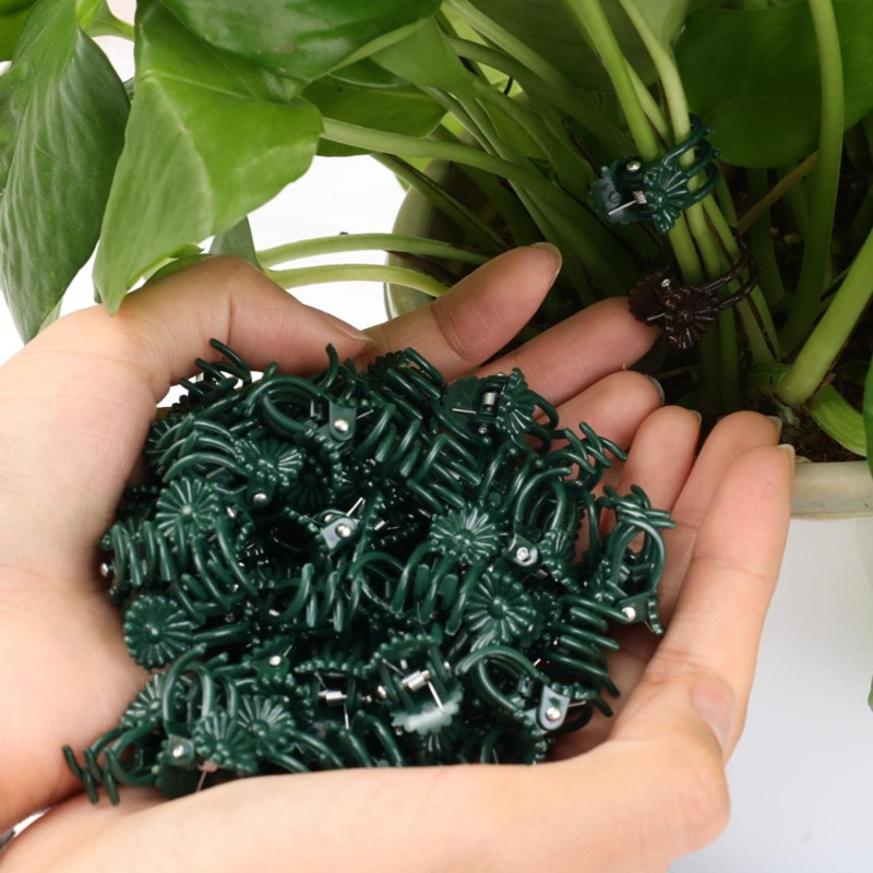 Clipes de Suporte para Plantas - Gardening Tools For Vines avaliação e preço