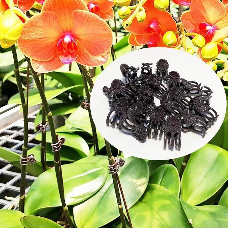 Clipes de Suporte para Plantas - Gardening Tools For Vines avaliação e preço