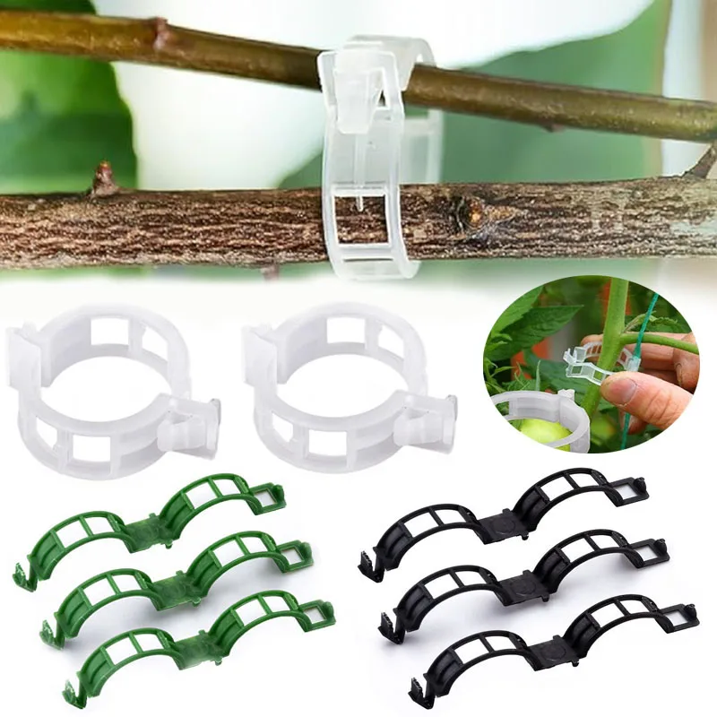 100 pçs clipes de fixação de p - Gardening Tools For Vines avaliação e preço