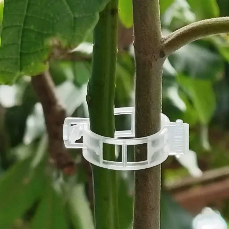 Clipes de Suporte para Plantas - Gardening Tools For Vines avaliação e preço