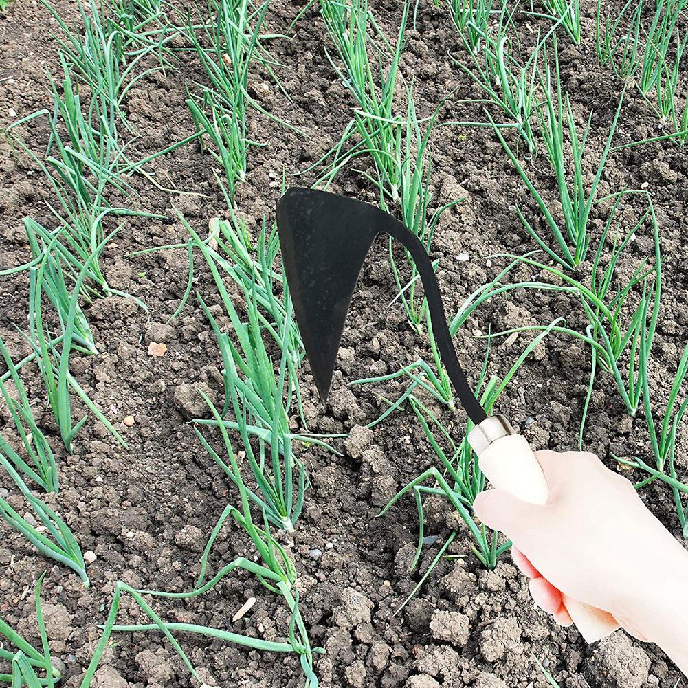 Enxadas Agrícolas Domésticas E - Gardening Tools Hoe avaliação e preço