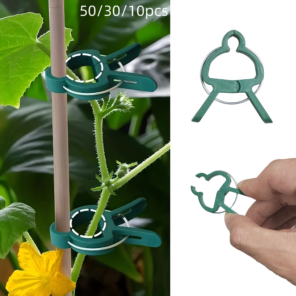 10/30/50 peças de Clipes Ajust - Gardening Tools For Vines avaliação e preço