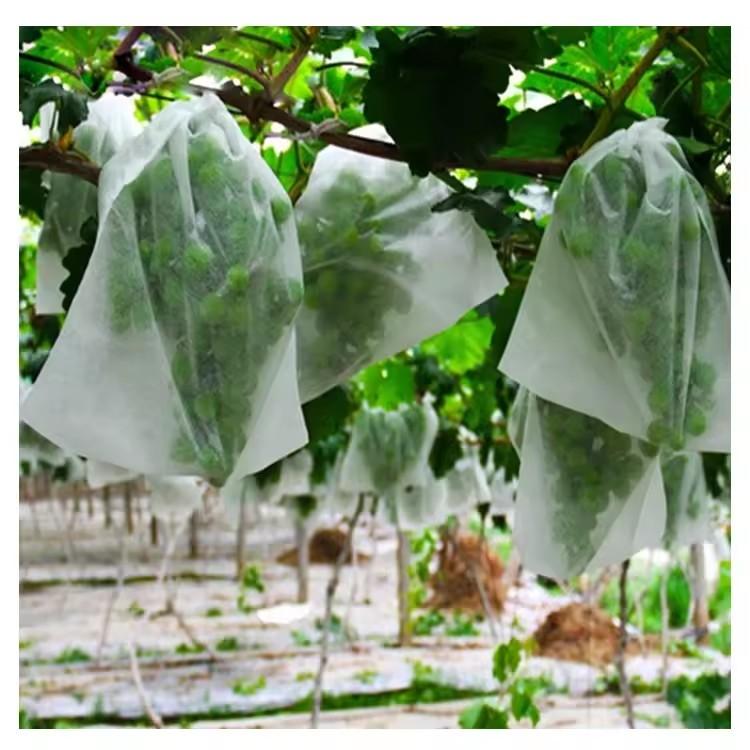 50 sacos de proteção para frut - Grow Bags avaliação e preço