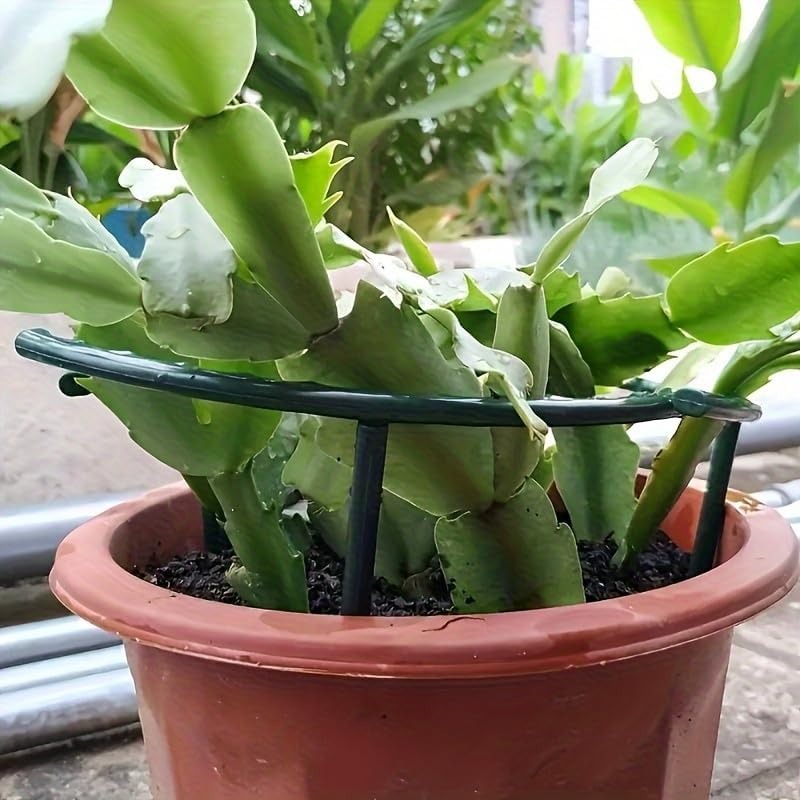 30-1 Peças Suporte de Plástico - Gardening Tools Hoe avaliação e preço