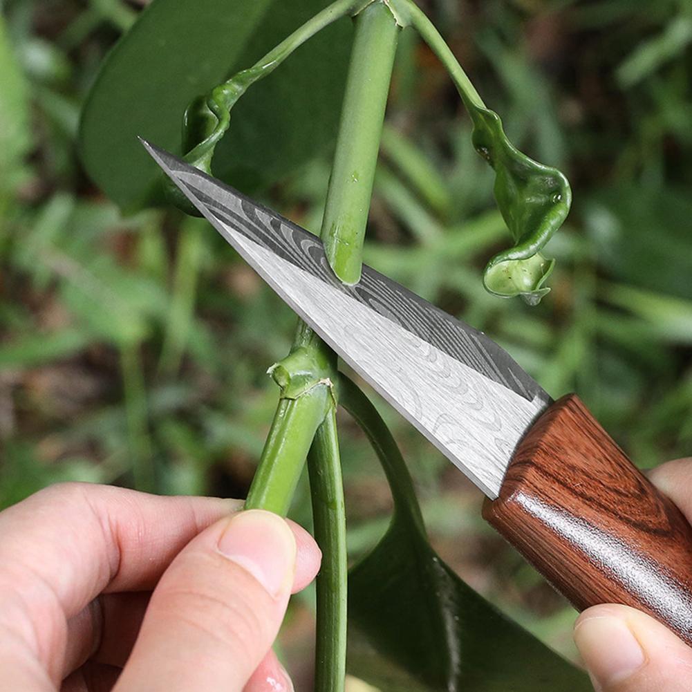 Faca de Enxertia Afiada com Ca - Gardening Tools For Beginners avaliação e preço