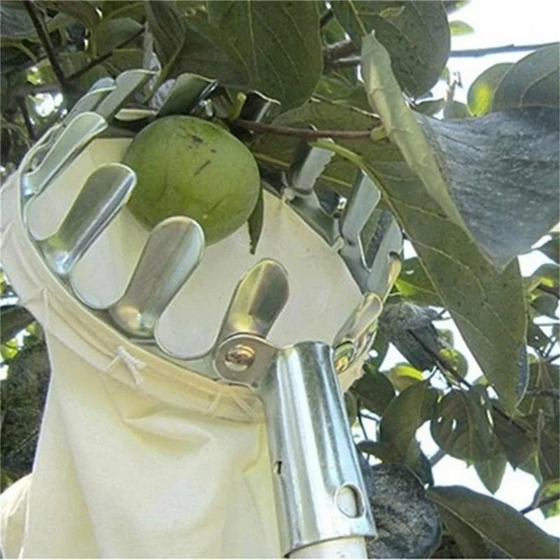 Apanhador de Frutas para Fazen - Grow Bags avaliação e preço