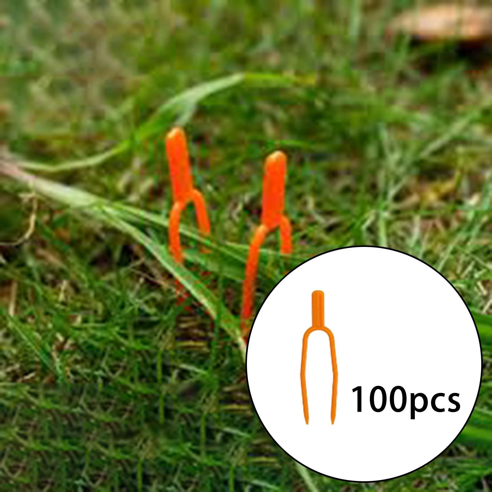 Clipes Fixadores de Caules de  - Gardening Tools For Vines avaliação e preço