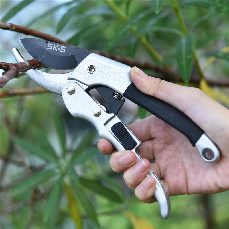 Novo 20cm catraca planta guarn - Gardening Tools For Beginners avaliação e preço