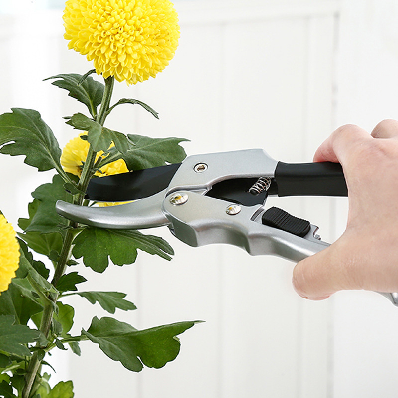 Novo 20cm catraca planta guarn - Gardening Tools For Beginners avaliação e preço