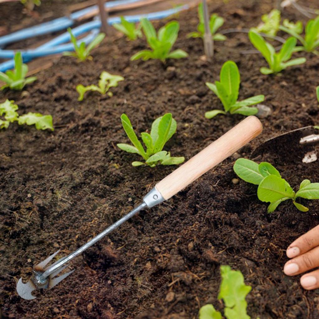 Ferramenta de Capina para Jard - Gardening Tools Hoe avaliação e preço
