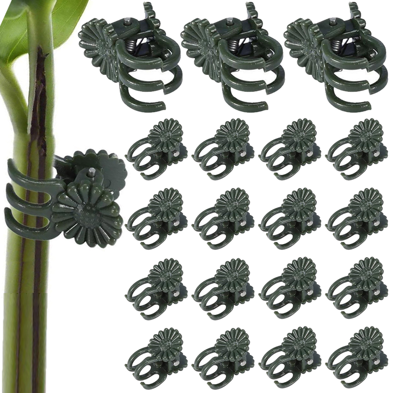 Plant Clips para Enxerto, Vine - Gardening Tools For Vines avaliação e preço