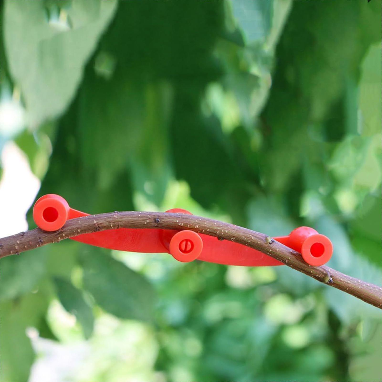 10 Peças de Clipes para Treina - Gardening Tools Lowes avaliação e preço
