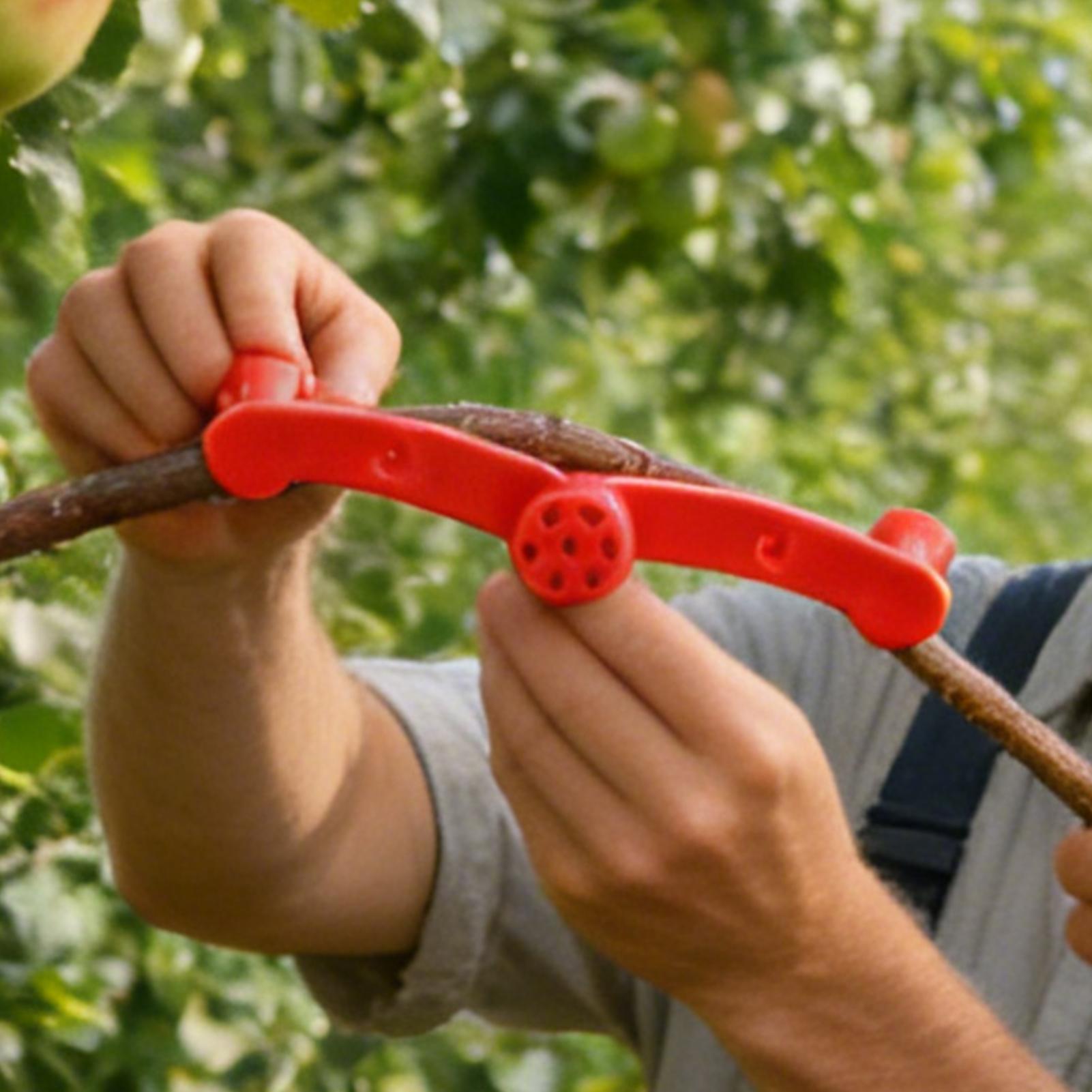 10 Peças de Clipes para Treina - Gardening Tools Lowes avaliação e preço