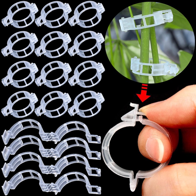 300/50 Peças Clipes de Suporte - Gardening Tools For Vines avaliação e preço