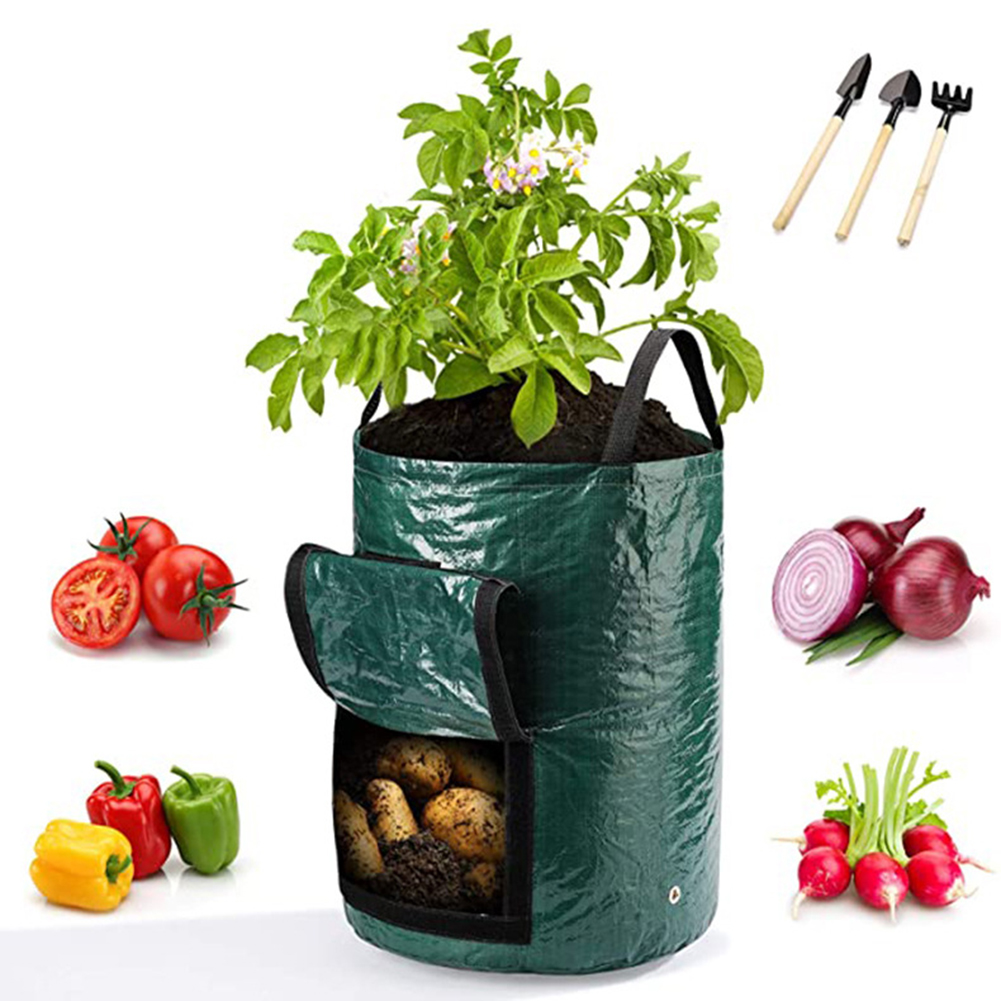 1 unidade de sacos de cultivo  - Grow Bags avaliação e preço